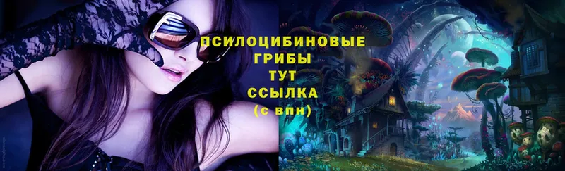 Псилоцибиновые грибы MAGIC MUSHROOMS Хабаровск